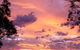 Sunset View Bb Forbes Nsw - thumb 0