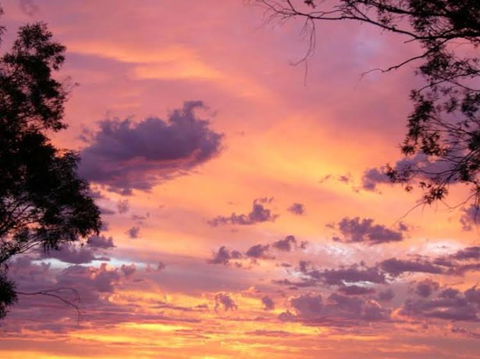 Sunset View Bb Forbes Nsw - Accommodation Asia 0