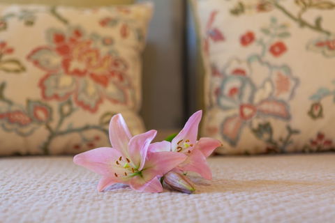 Stonewell Cottages & Vineyards - Accommodation Asia 2