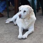 Nazaaray Beach House - Accommodation Asia 0