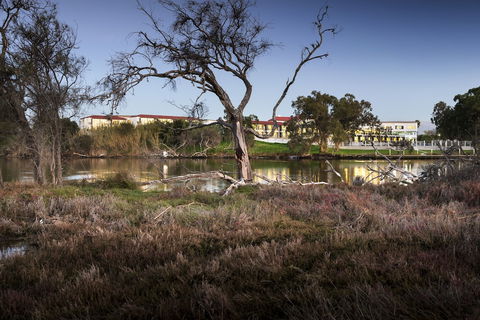 Swan River Hotel - Accommodation Asia 0