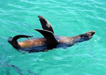 Coastal Comfort Motel - Accommodation Guide 1