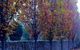 Birches Luxury Spa Chalets - thumb 5