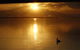 Meningie's Waterfront Motel - thumb 3