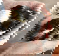 Margaret River Hideaway - Accommodation Guide