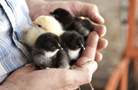 Margaret River Hideaway - Accommodation Guide 0