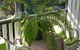 Elindale House Bed & Breakfast - thumb 4
