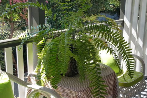 Elindale House Bed & Breakfast - Accommodation Asia 4
