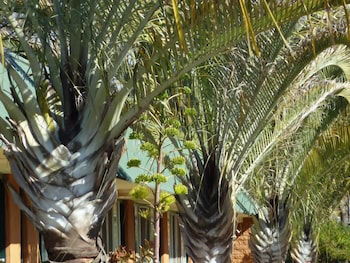 Somerville WA Accommodation Asia