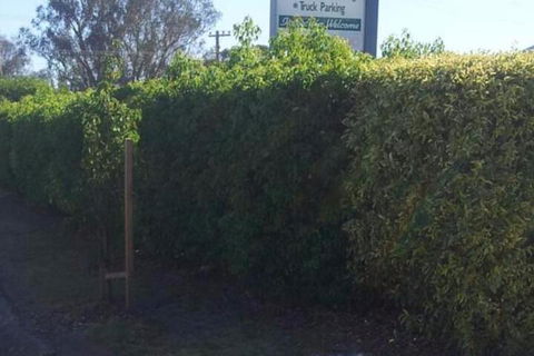 Glenndale Park Motel - Accommodation Guide 4