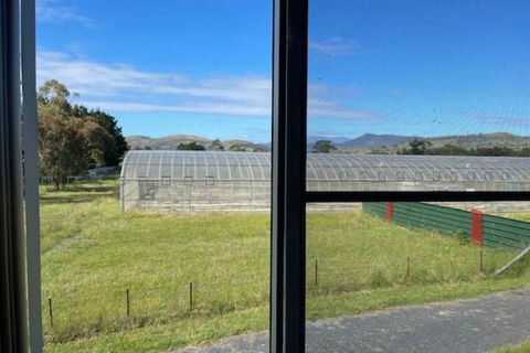 Alexanders' Of Richmond - Accommodation Guide 7