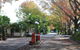 Lani's Holiday Island - Caravan Park - thumb 1