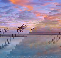 Global Backpackers Cairns - Accommodation China