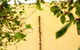 The Greenhouse At Sevenoaks Maylands Accommodation - thumb 1