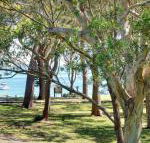 32 Bay Parklands 2 Gowrie Avenue fantastic unit with air conditioning pool tennis court  spa