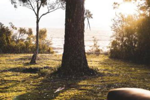 Seagrass On Sunset Bay - Accommodation Asia 1