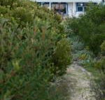 Polperro a quintessential seaside experience - Accommodation Asia
