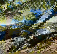 Binna Burra Rainforest Campsite - Accommodation China