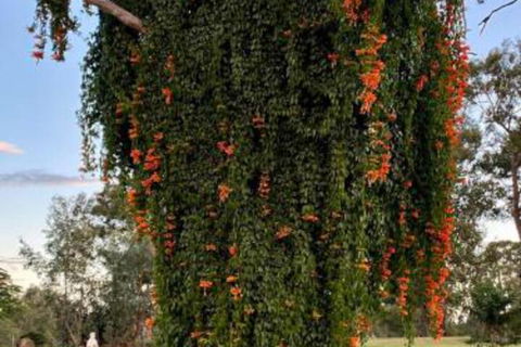 Amarina Farm Stay & Gardens - Accommodation Asia 6