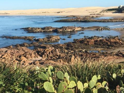 Cromarty Cottage 900m From Birubi Beach - Accommodation Guide 4