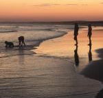 Cromarty Cottage 900m from Birubi Beach - Accommodation Asia
