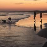 Cromarty Cottage 900m From Birubi Beach - Accommodation Guide 0