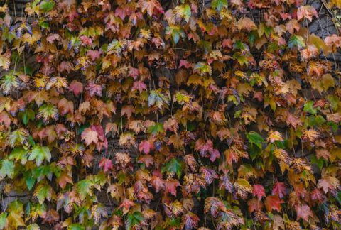 Killiorra - Accommodation Guide 1