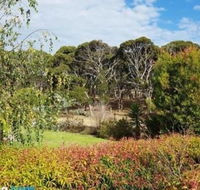 The Old Picnic Ground at Ironstone B  B - Accommodation Asia