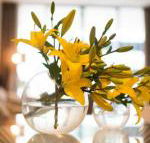 KUI Manhattan Apartments - Accommodation Asia