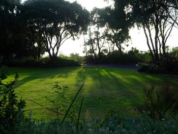 Oceanside Retreat Busselton - Accommodation Asia 2