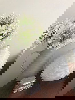 Beautiful Cottage, Ocean Views, Amazing Gardens, 12 Minute Walk To Beach - Accommodation Guide 0