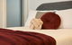 Hotel Quality 2 Bedroom Apartment - thumb 5