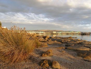 Port Lincoln Holiday Houses - Accommodation Asia 4