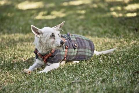 BEACH WITHIN REACH - Accommodation Asia 4