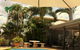 Rockhampton Palms Motor Inn - thumb 5