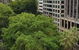Madison Carrington Apartments - thumb 1