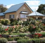 Willows Motel - Accommodation Asia