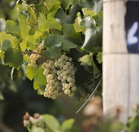 Ingenia Holidays Mudgee Valley - Accommodation Guide