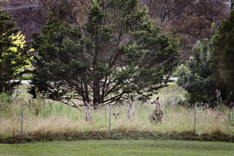 BATHURST GOLDFIELDS MOTEL On MOUNT PANORAMA - Accommodation Guide 6