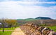 Breakneck Gorge Akora - thumb 6