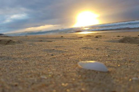 Eagles Loft - Accommodation Asia 6