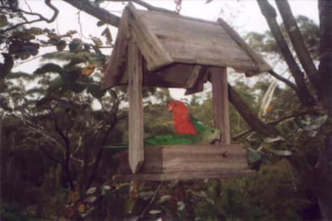 Arcadia Cottage - Accommodation China 2