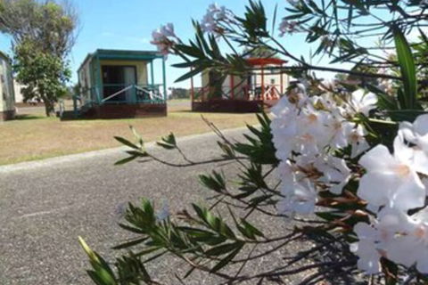 Lanis On The Beach - Old Bar - Accommodation Guide 0