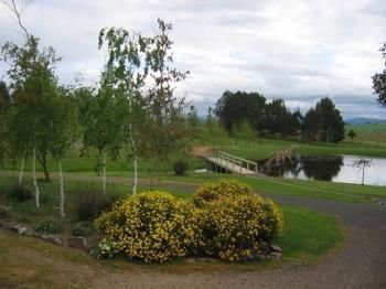 Buttercup Cottage & Private Apartment - Accommodation Guide 3