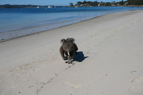 The Mitchells Waterfront Bed & Breakfast - Accommodation China 7