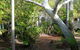 West Kimberley Lodge & Caravan Park  - thumb 1