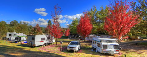 Beechworth Lake Sambell Caravan Park - Accommodation Guide 0