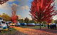Beechworth Lake Sambell Caravan Park - thumb 3
