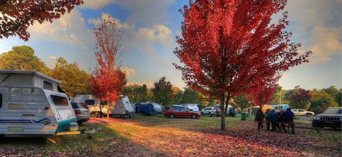 Beechworth Lake Sambell Caravan Park - Accommodation Guide 3