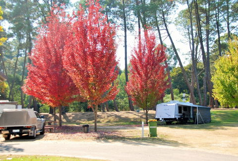 Beechworth Lake Sambell Caravan Park - Accommodation Guide 1